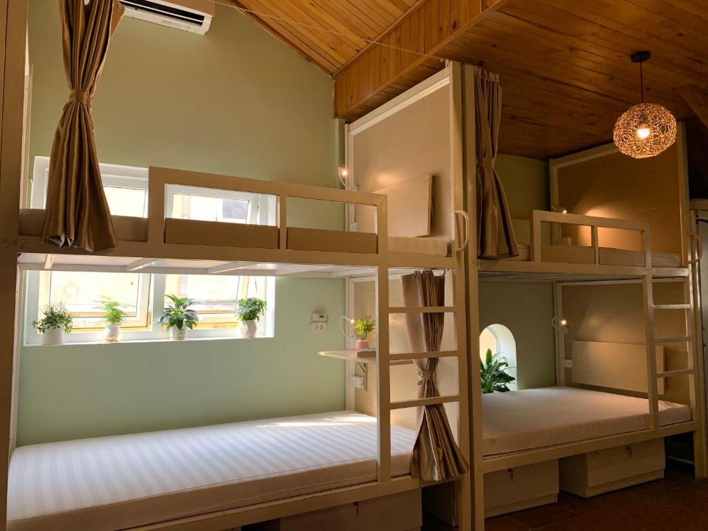 Hostel là gì? Khác gì khách sạn
